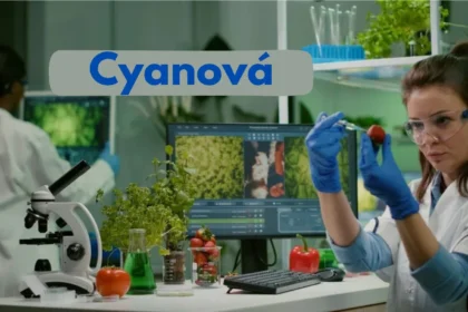 Is 'cyanova' the Right Choice for You?