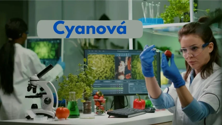Is 'cyanova' the Right Choice for You?
