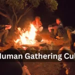 The Rise of the Human Gathering Cult: A Guide