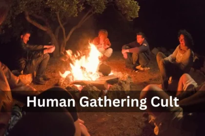 The Rise of the Human Gathering Cult: A Guide