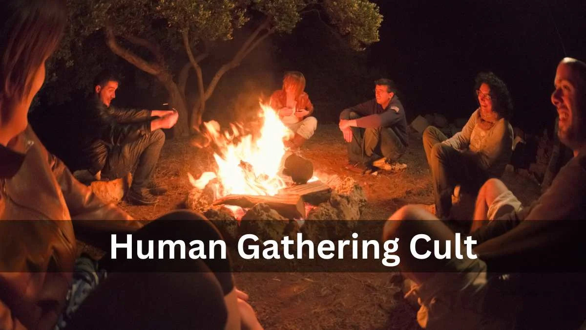 The Rise of the Human Gathering Cult: A Guide