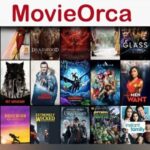 What is Movieorca? Amazing Features Of MovieOrca