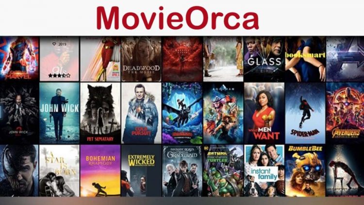 What is Movieorca? Amazing Features Of MovieOrca