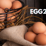 Unraveling the Mystery: What is egg20_25?