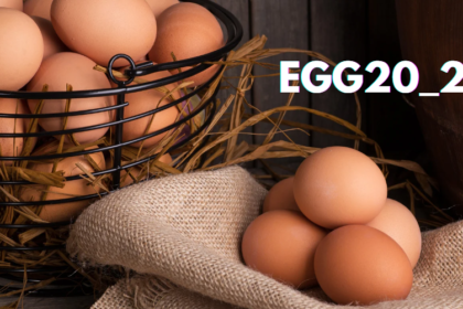 Unraveling the Mystery: What is egg20_25?