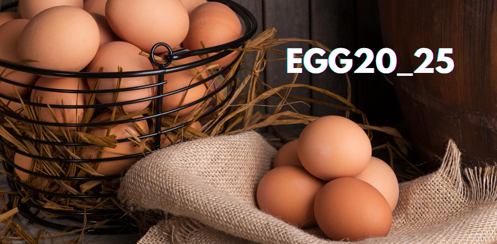 Unraveling the Mystery: What is egg20_25?