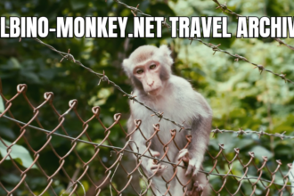 Discovering the World Through Albino-Monkey.Net Travel Archives