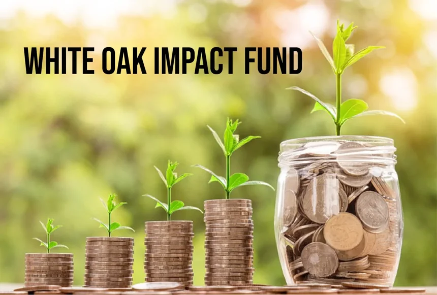 The White Oak Impact Fund: A Guide to Making a Difference