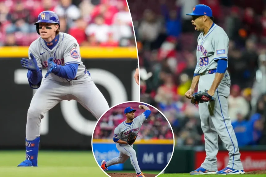 Mets VS Cincinnati Reds Match Player Stats