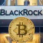 How 1-806-301-1929 BlackRock is Redefining Financial Excellence and Innovation