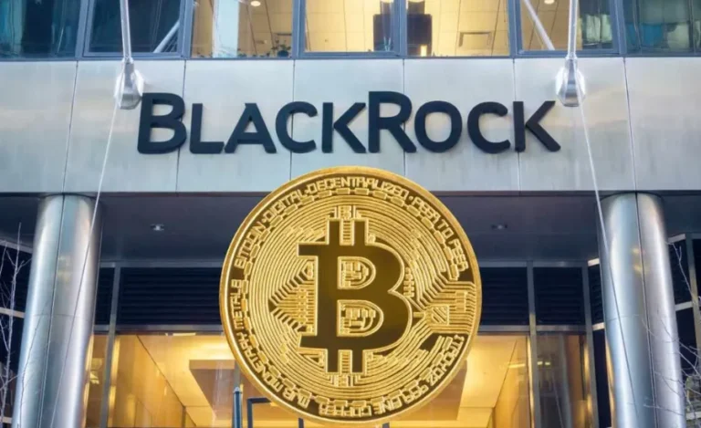 How 1-806-301-1929 BlackRock is Redefining Financial Excellence and Innovation