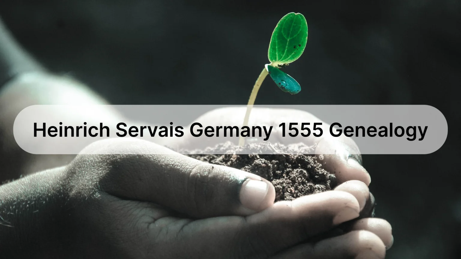 Heinrich Servais Germany 1555 Genealogy