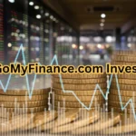 Who Can Benefit from Gomyfinance.com Invest?