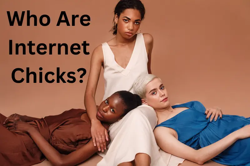 The Rise of Internetchicks: Redefining Women s Influence in the Digital Age