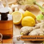 Homestead.bluerabbitrx.com: A Comprehensive Guide to Sustainable Living and Natural Health Solutions