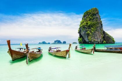 Phuket Happiness Trips Turtle Village
