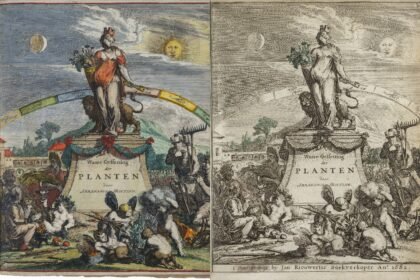 The works of Abraham Munting (1626-1683)