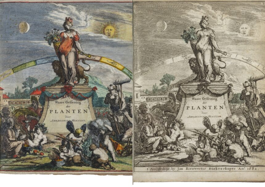 The works of Abraham Munting (1626-1683)