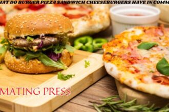 What Do Burger Pizza Sandwich Cheeseburgers Have in Common? A Comprehensive Exploration