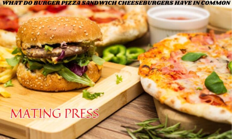 What Do Burger Pizza Sandwich Cheeseburgers Have in Common? A Comprehensive Exploration