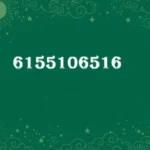 Understanding the Significance of the Number 6155106516