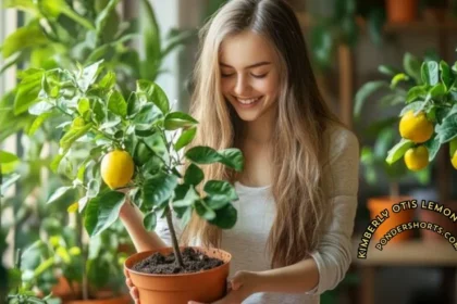 Kimberly Ann Otis Lemon Grove: What You Need To Know