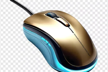 Stonewall penitentiary mouse lagsd