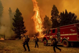 What Happened in the Idle Wheels Mariposa CA Fire?