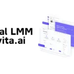 How to Set Up a Local LMM Novita AI