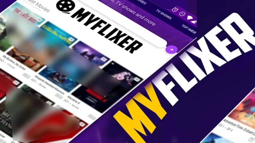 Exploring the Features of the MyFlixerz