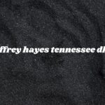 tennessee jeffrey hayes dhs