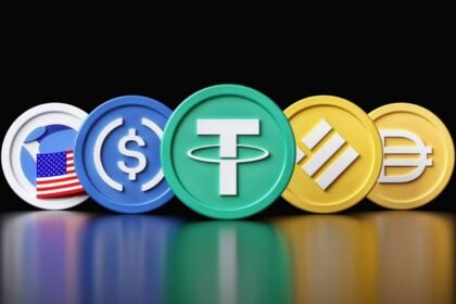 Exploring the Features of the Biitland.com Stablecoins