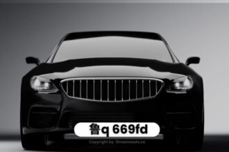 Understanding “鲁q 669fd”: A Comprehensive Guide