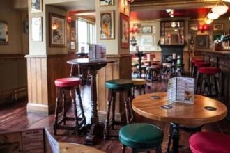 Exploring the Features of the Pub Tables