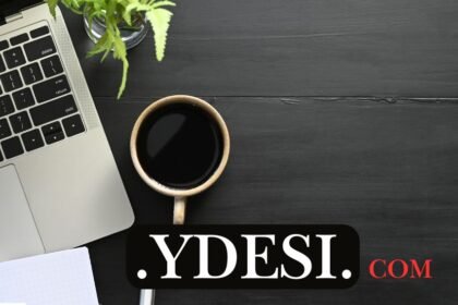 Exploring .ydesi What It Is and How It Can Benefit You