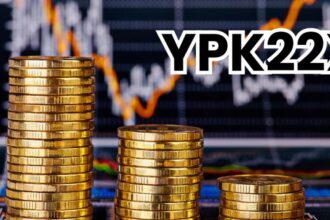 Everything You Need to Know About YPK22X!