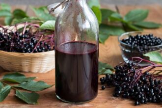 lyme disease elderberry syrup