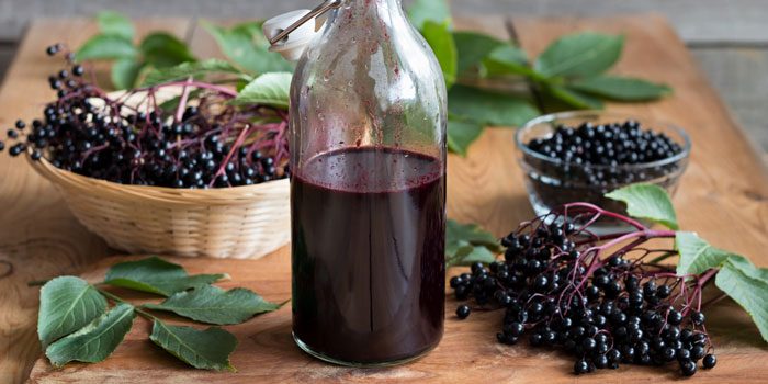 lyme disease elderberry syrup