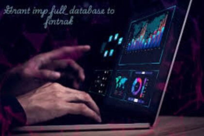 grant imp full_database to fintrak