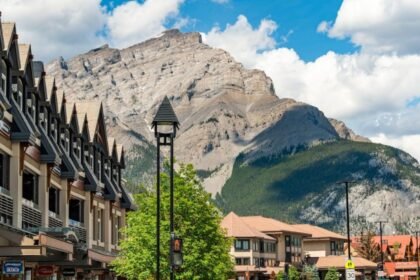 The Ultimate Guide to Spearstate.com