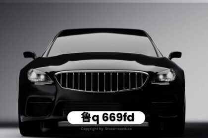 Understanding “鲁q 669fd”: A Comprehensive Guide