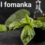 Who Is Basil Fomanka?