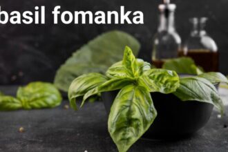 Who Is Basil Fomanka?