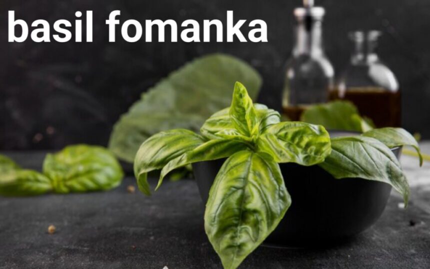 Who Is Basil Fomanka?