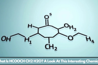 What Is HCOOCH CH2 H2O? A Look At This Interesting Chemical!