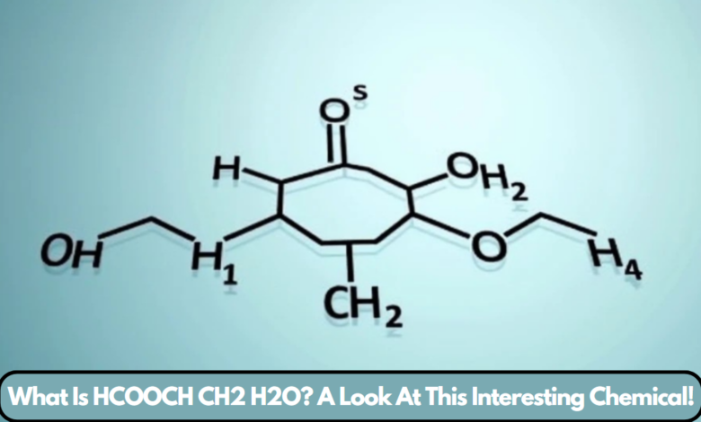 What Is HCOOCH CH2 H2O? A Look At This Interesting Chemical!