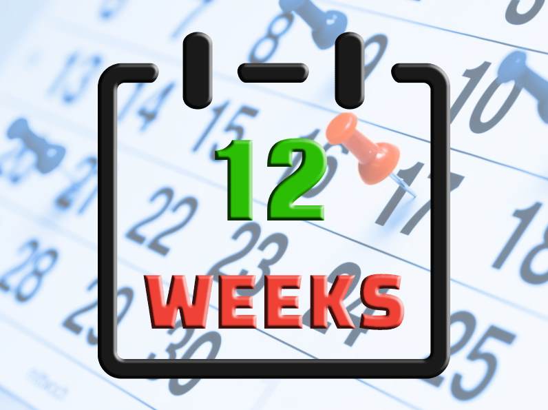 What is the date exactly 12 weeks from today?