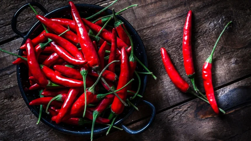 The Fiery Flavor of Korea: Piment Coreen Schoville Explored