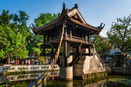 The Comprehensive Guide to vietnamreview. net