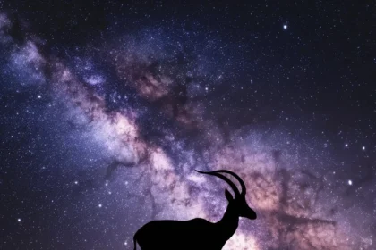 starhoonga A Deep Dive Into Its Meaning and Importance